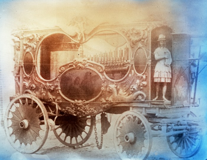 Category:Cumberland Fossil Plant - Wikimedia Commons