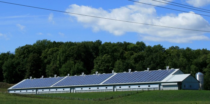 Solar Power Free Stock Photo - Public Domain Pictures